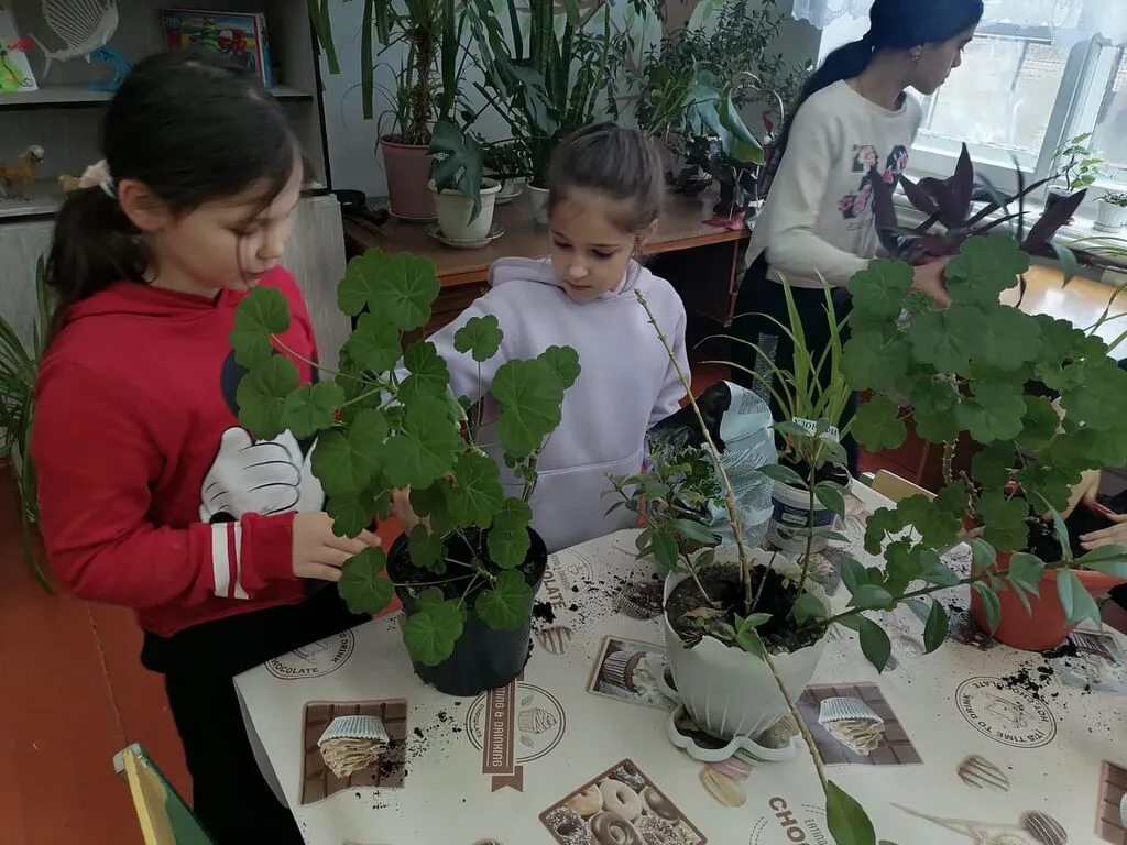 WhatsApp Image 2023-03-06 at 11.08.07