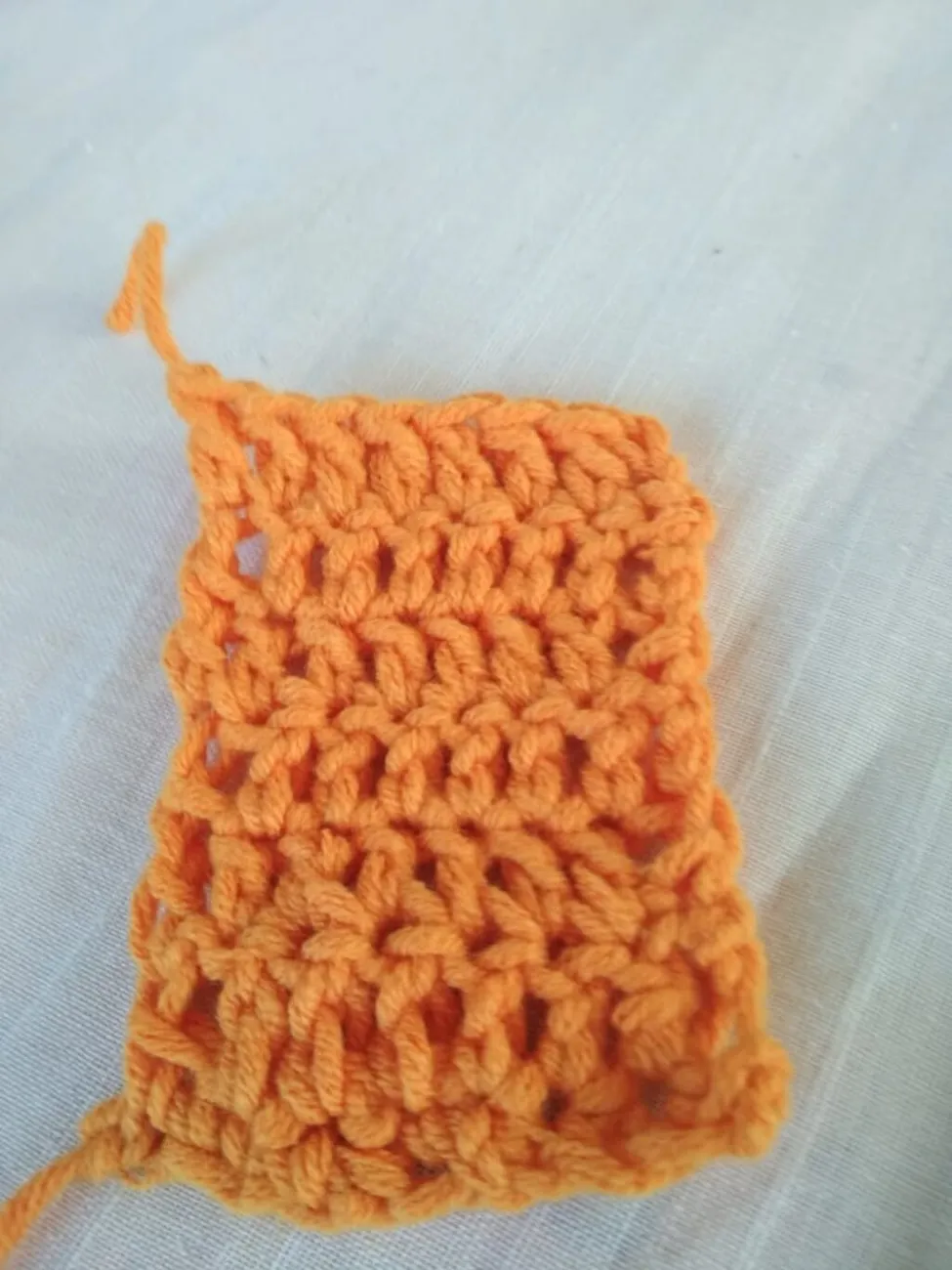 WhatsApp Image 2022-11-30 at 12.20.05 (2)