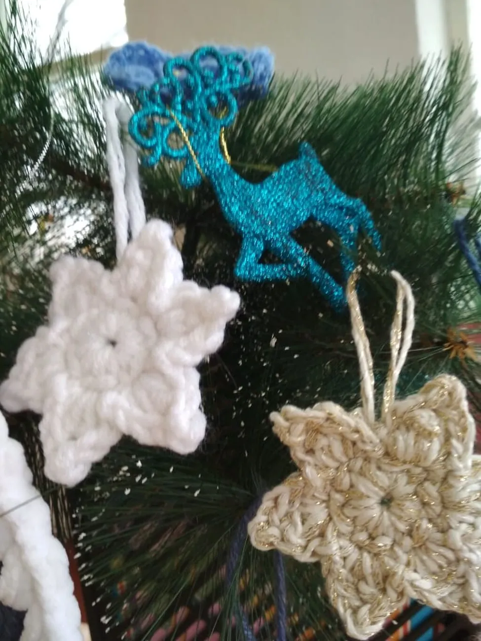 WhatsApp Image 2022-12-14 at 13.17.05